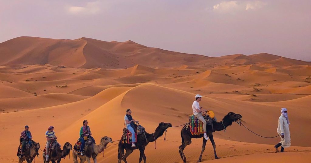 Dubai buggy tour with camels on red sand dunes