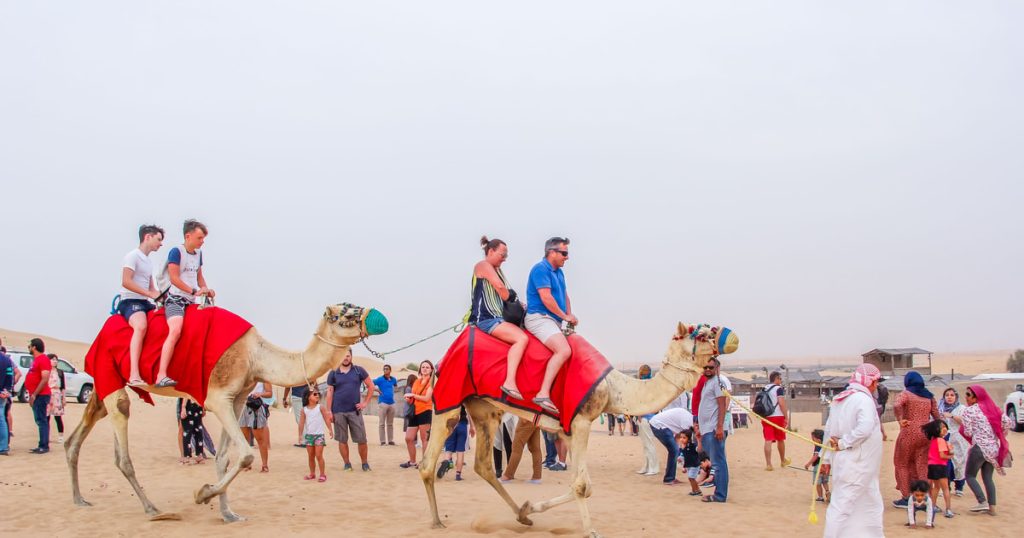 Dune buggy parked beside camels in Dubai desert